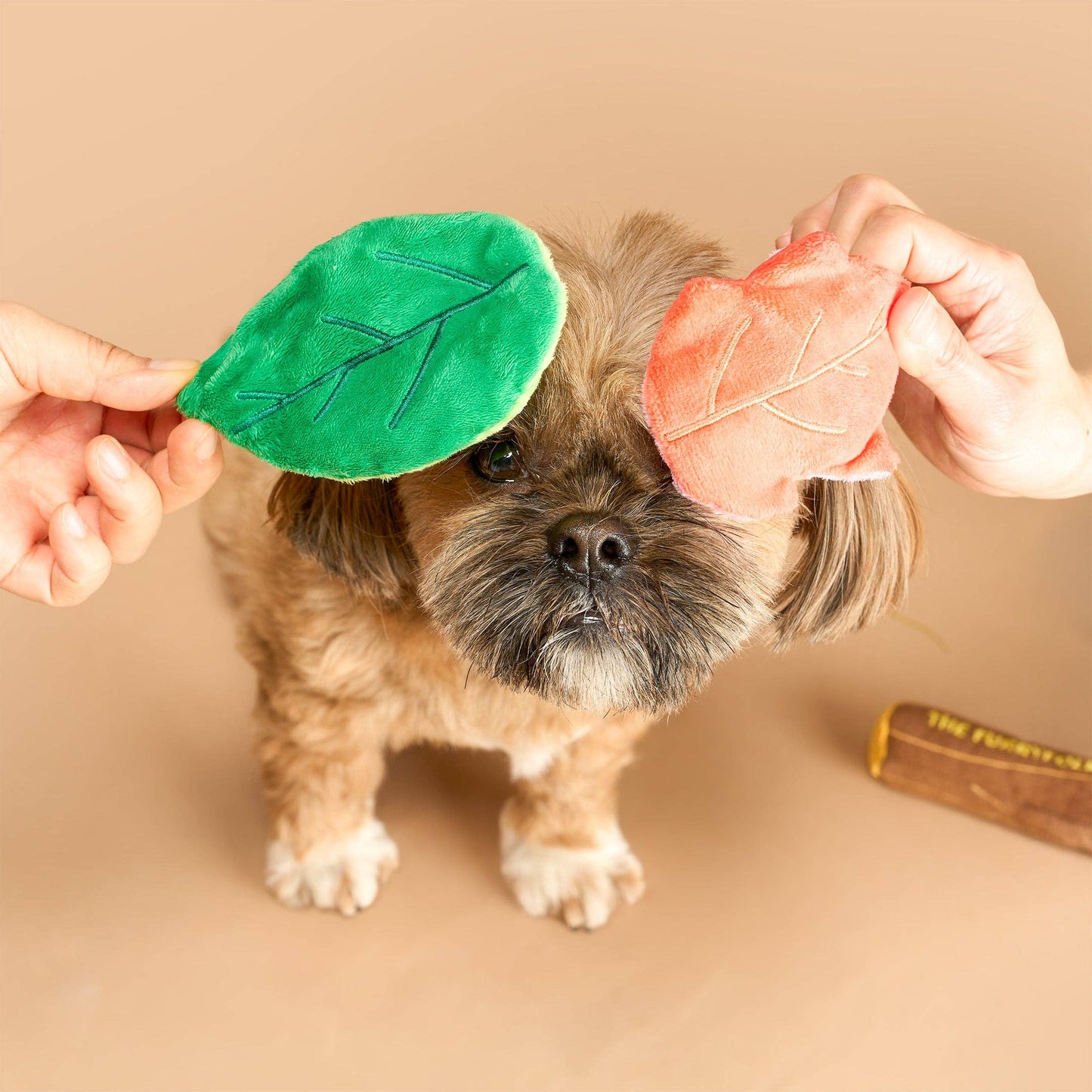 the furryfolks - Branch Manager's Branch Nosework Toy