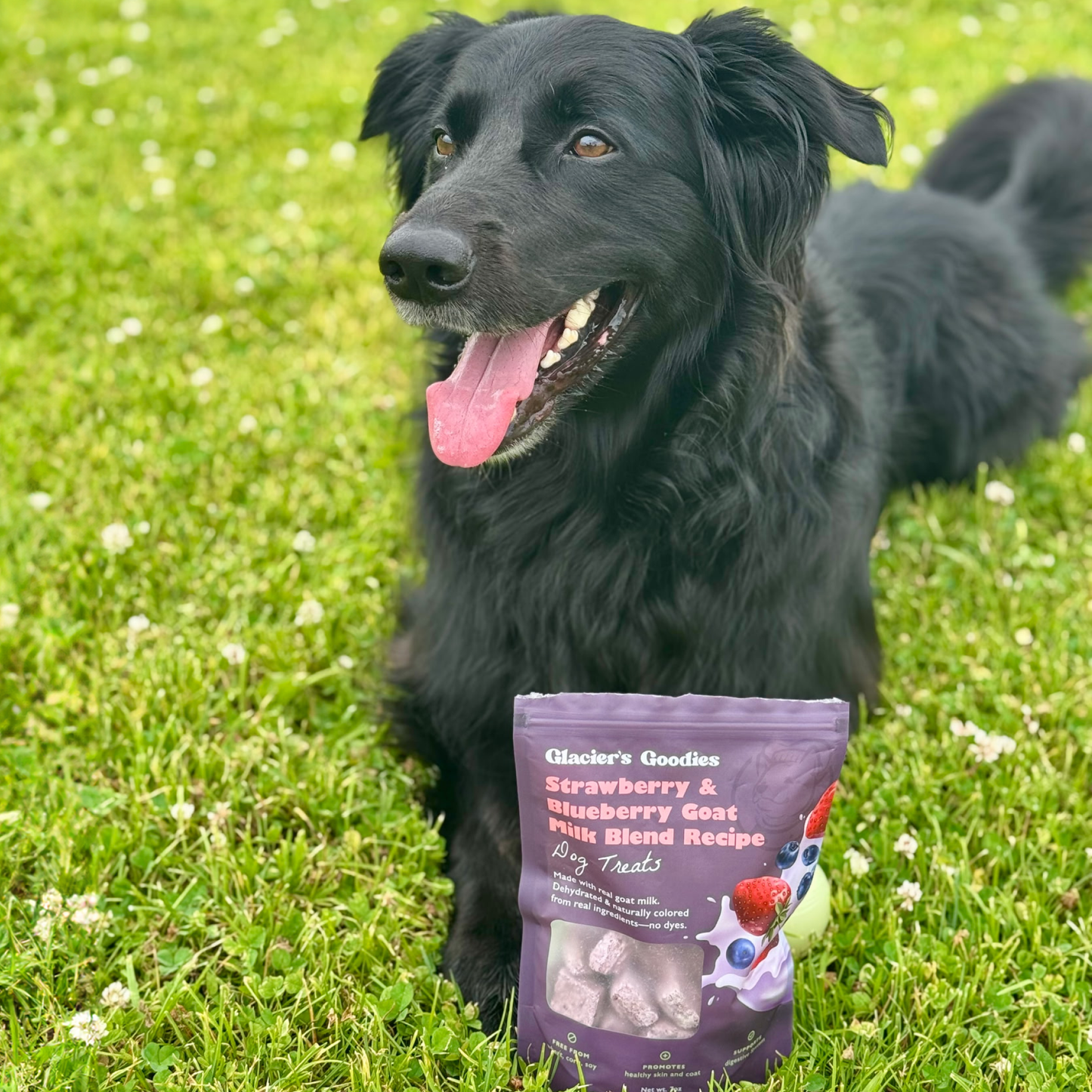 Glacier's Goodies - Goat Milk Dog Treats – Banana & Peanut