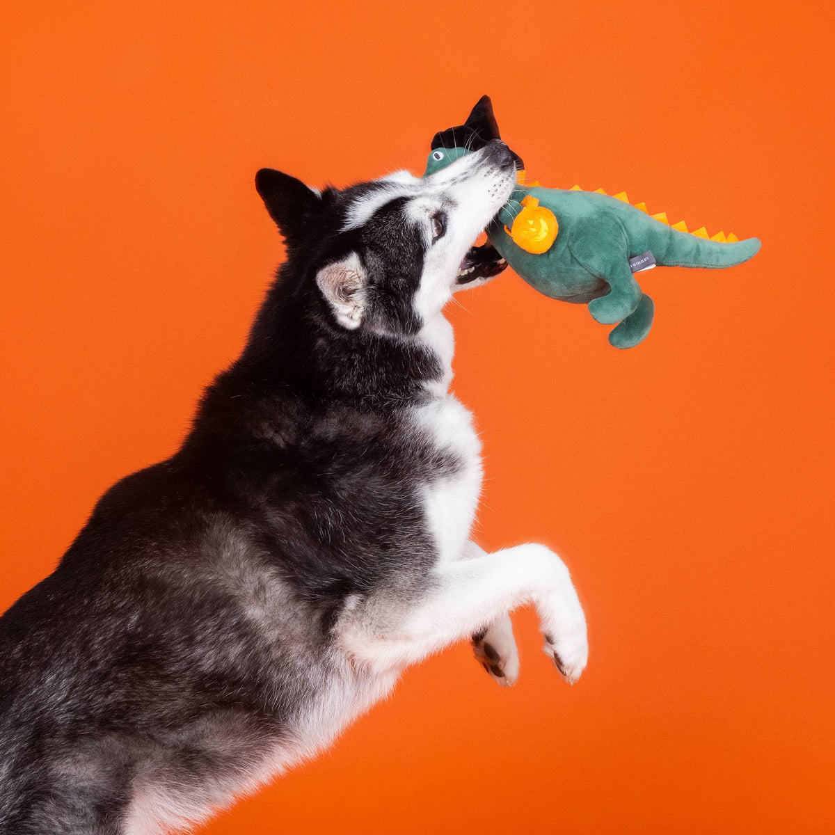 Petshop by Fringe Studio - Candy Rex