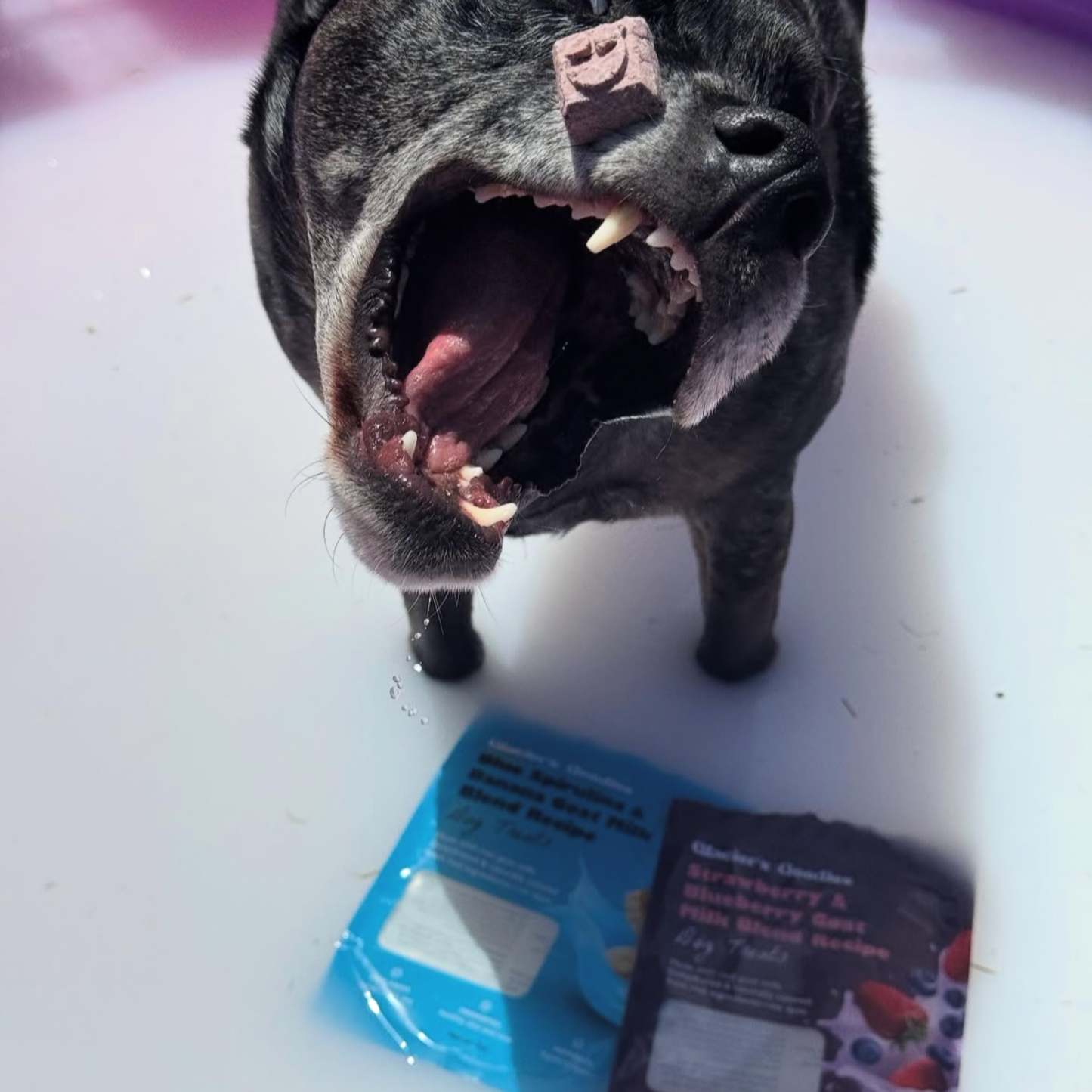 Glacier's Goodies - Goat Milk Dog Treats – Carob