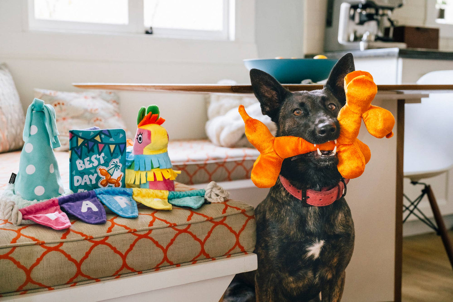 Play Pet Brands - Party Animal - Balloon Buddy