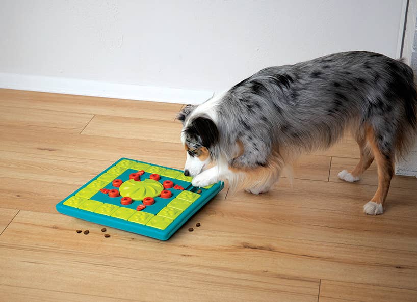 Nina Ottosson - MultiPuzzle