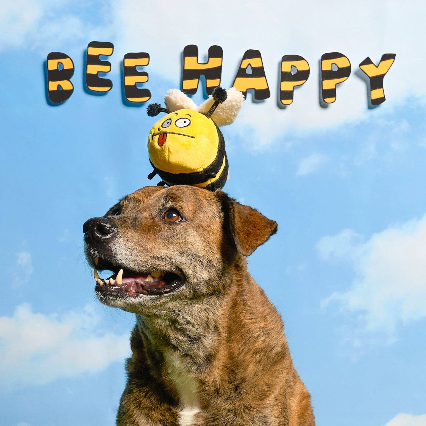 the furryfolks - Bee Happy Nosework Toy