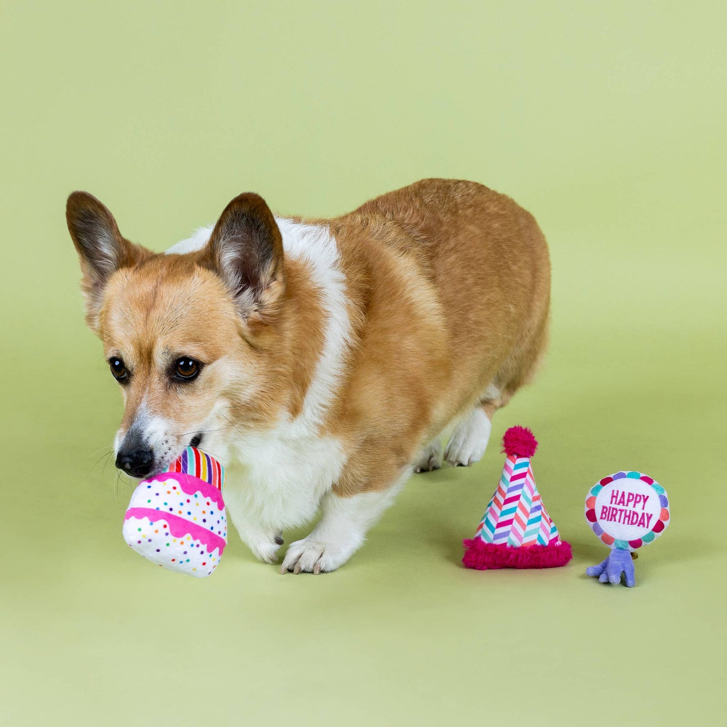 Petshop by Fringe Studio - Can I Get a Woof Woof