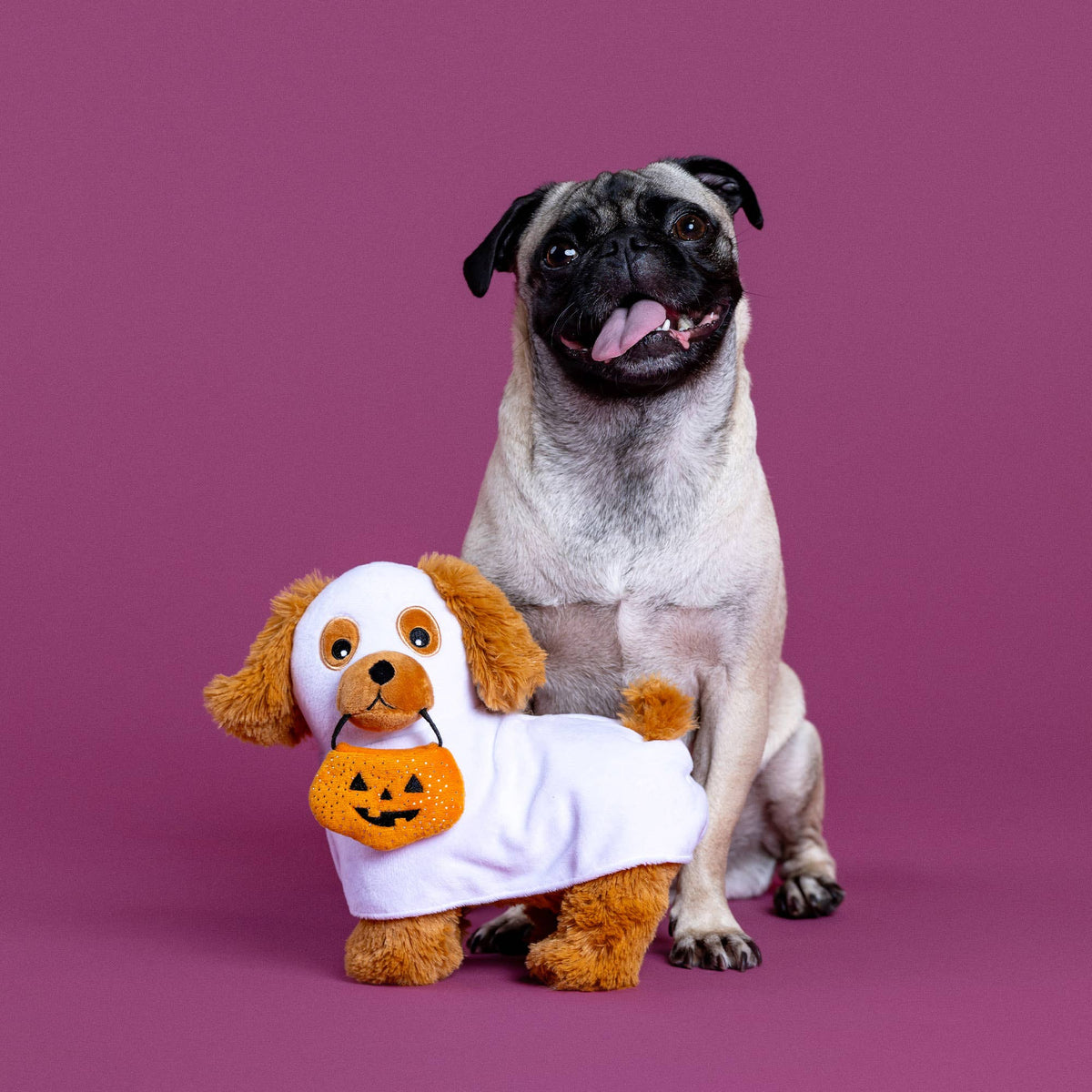 Petshop by Fringe Studio - Hauntin' Hound