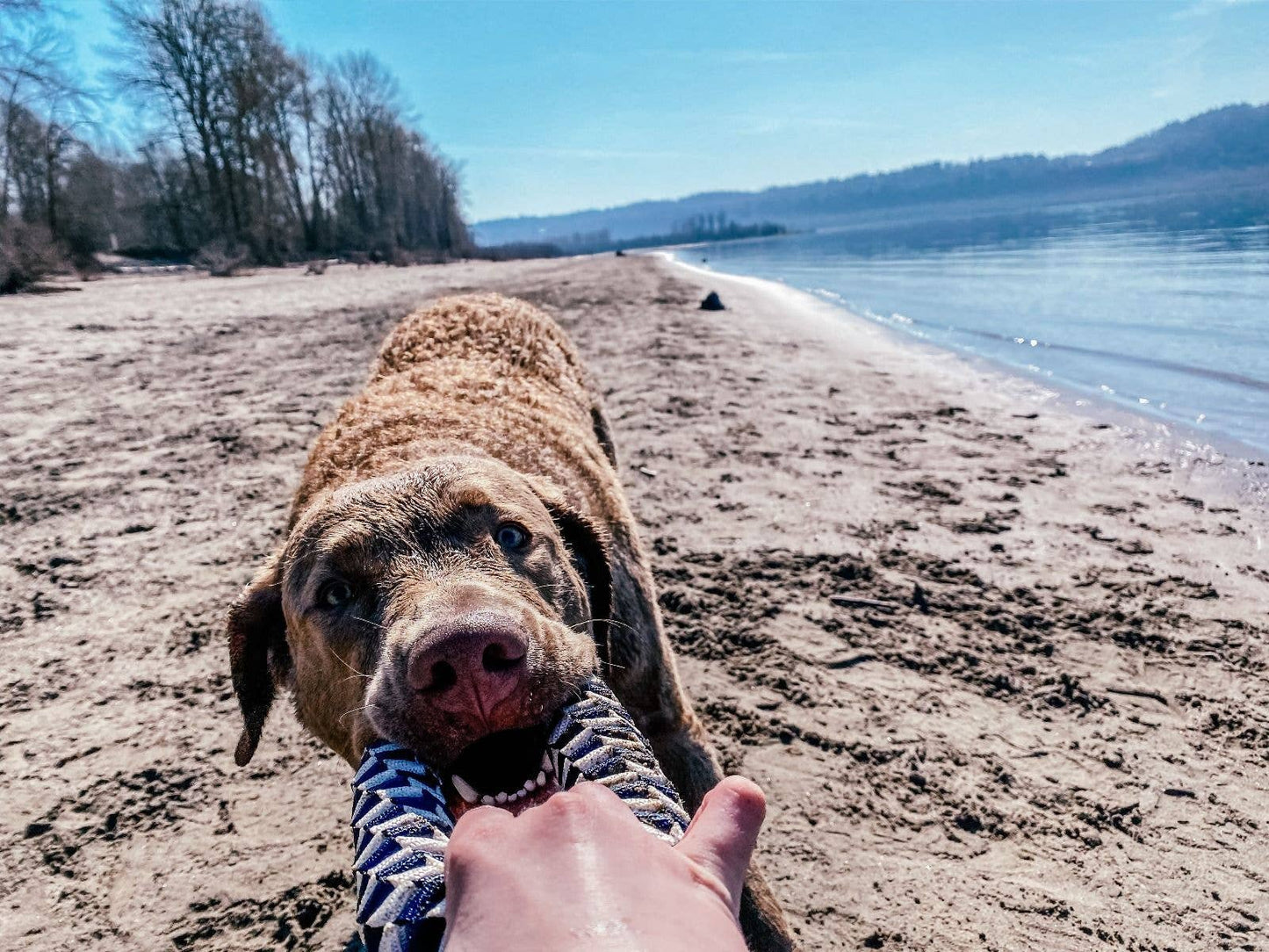 Tall Tails - Braided Ring Tug Toy