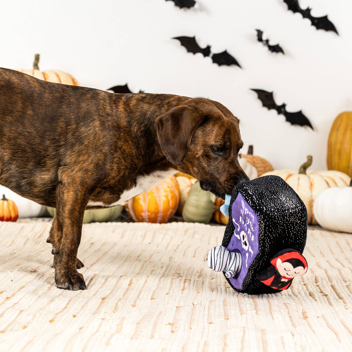 Petshop by Fringe Studio - Sleep Tight Puzzle