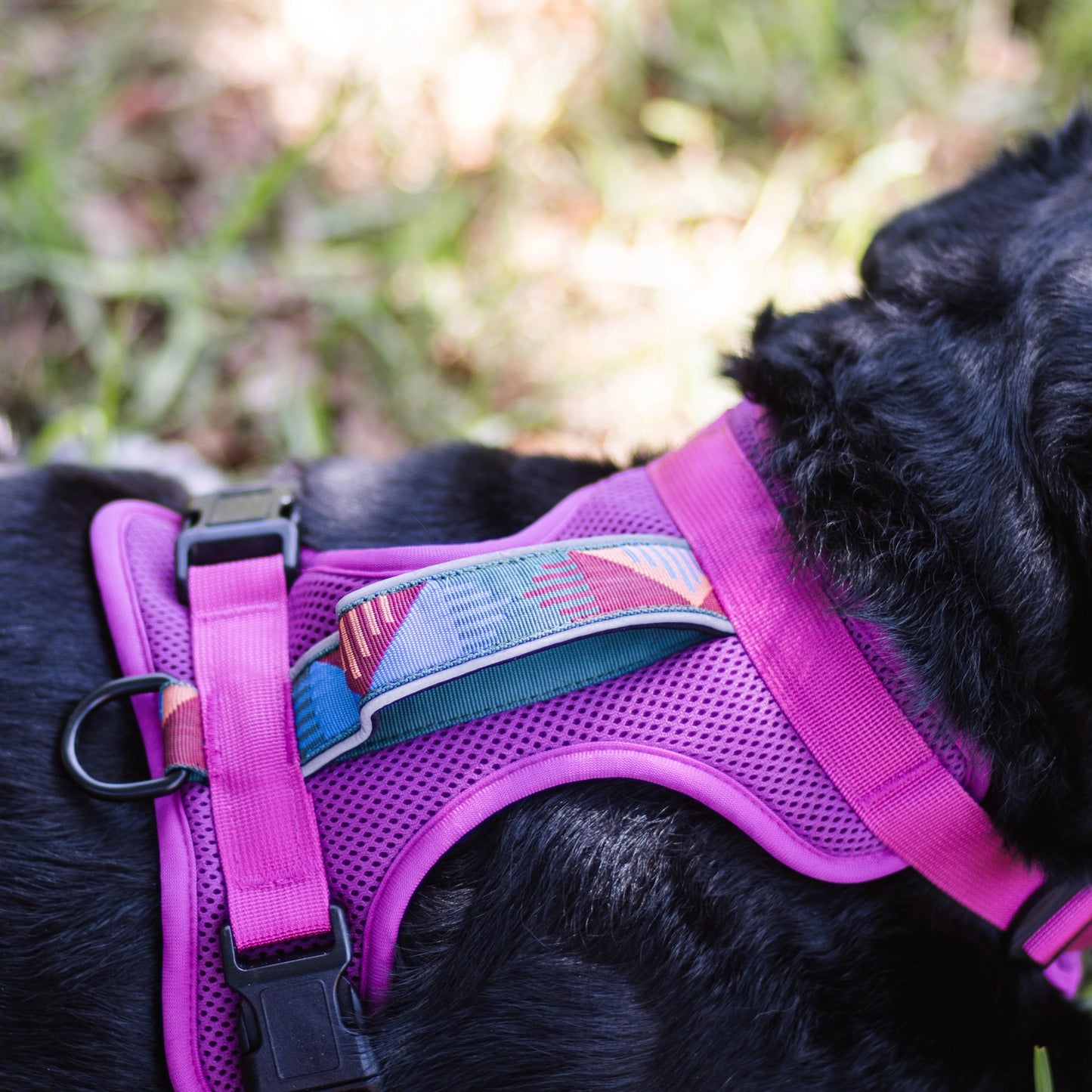 Pawcific North Designs Harness