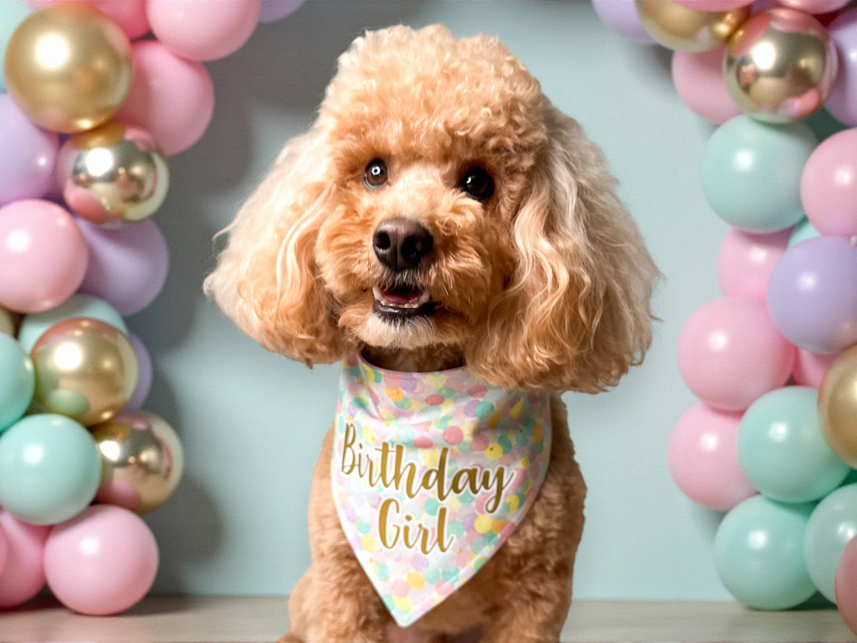 Bandana - Birthday Girl
