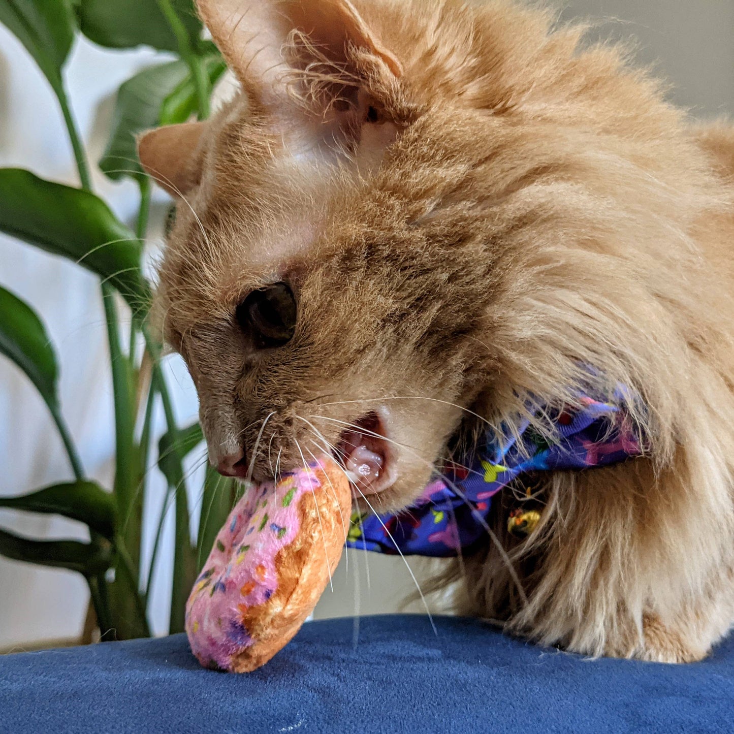 Huxley & Kent - Strawberry Donut Cat Toy