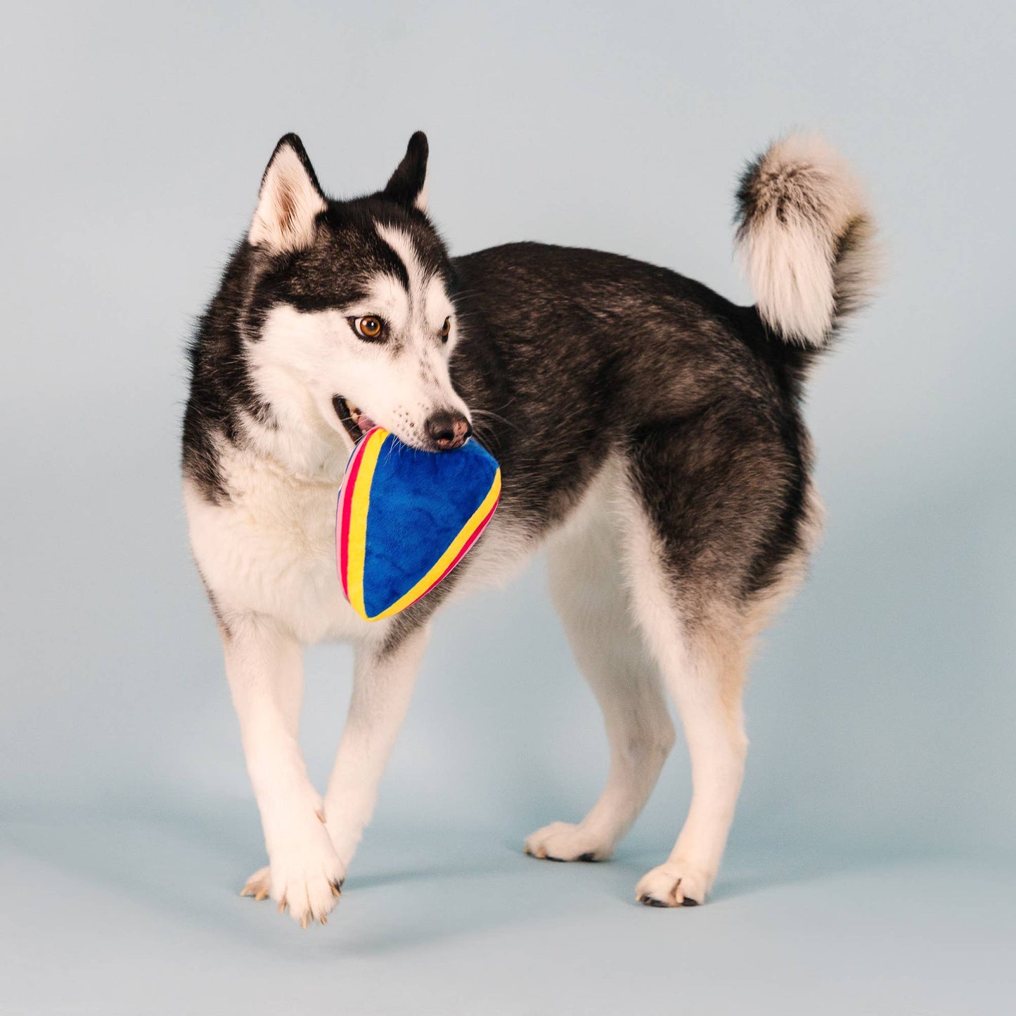 Petshop by Fringe Studio - Cake It Easy