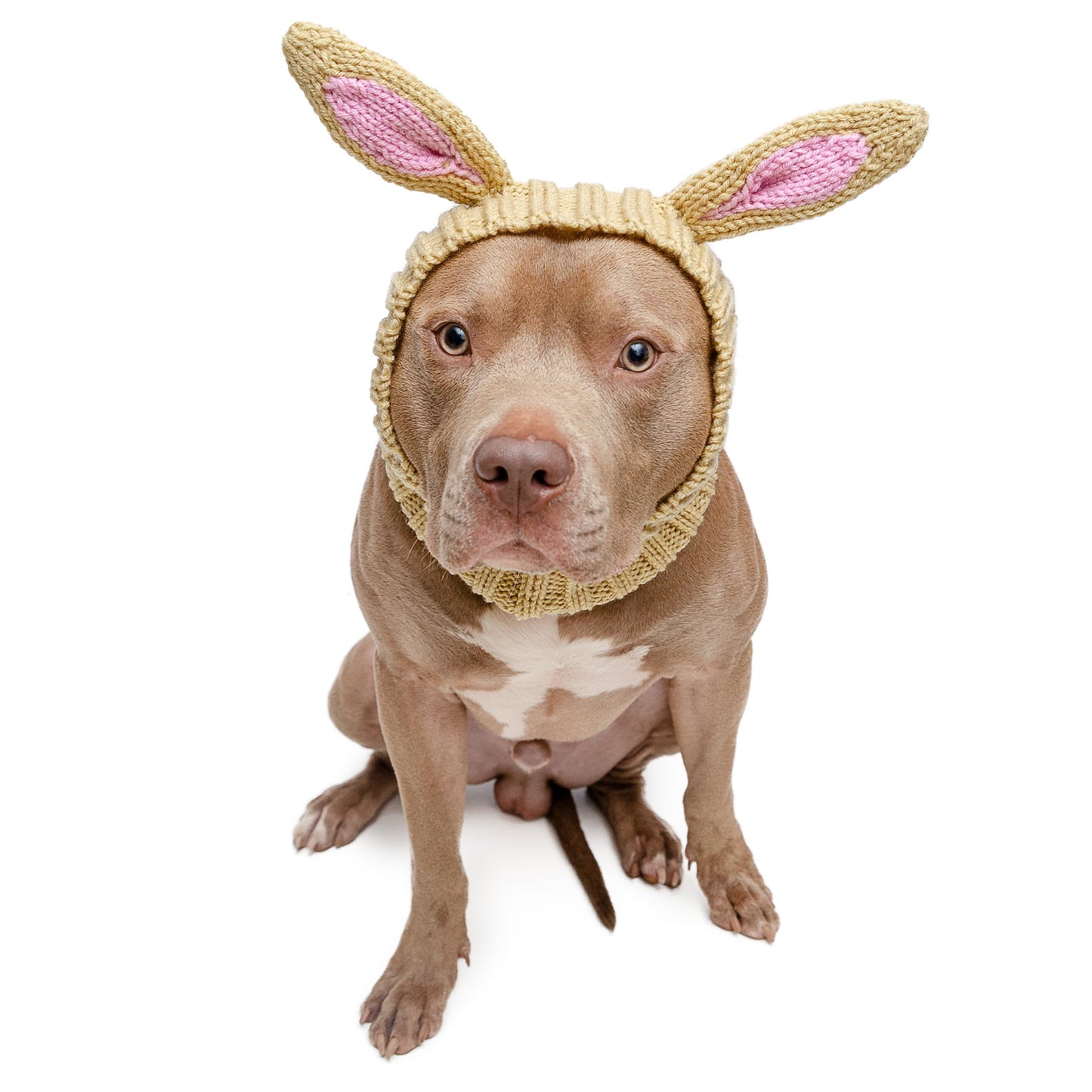 Snood - Bunny