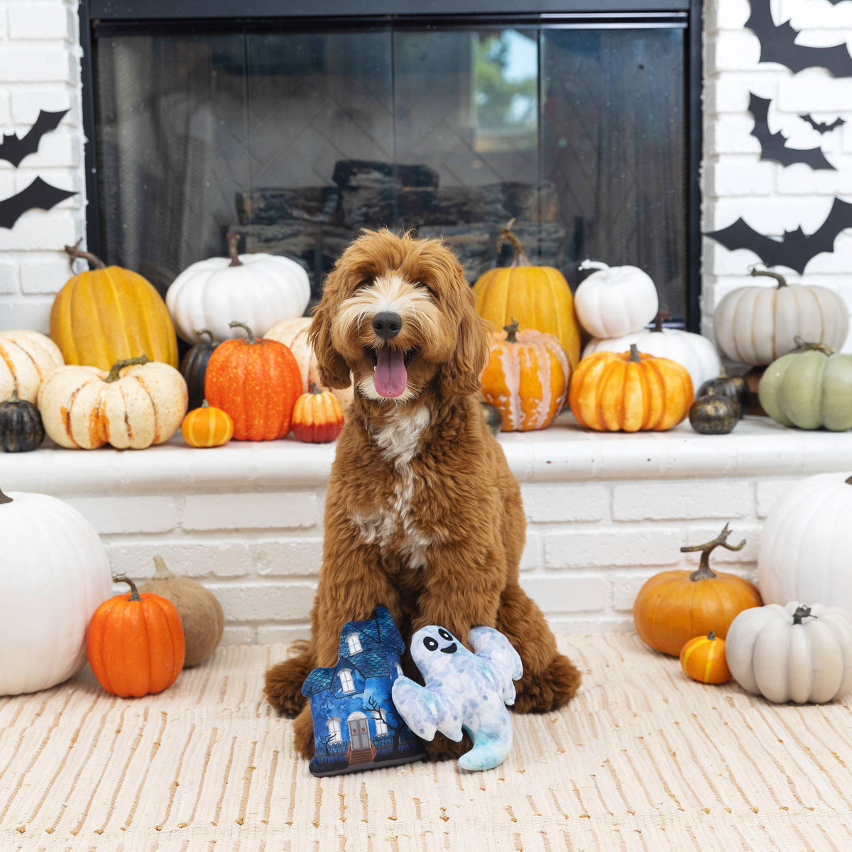 Petshop by Fringe Studio - Haunted Manor Set