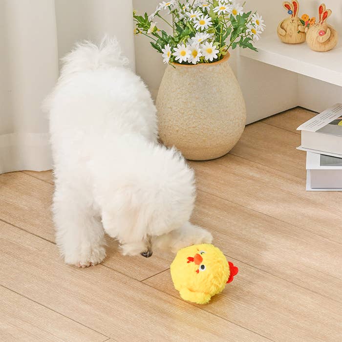 Hugsmart - Farm Friendz - Chick