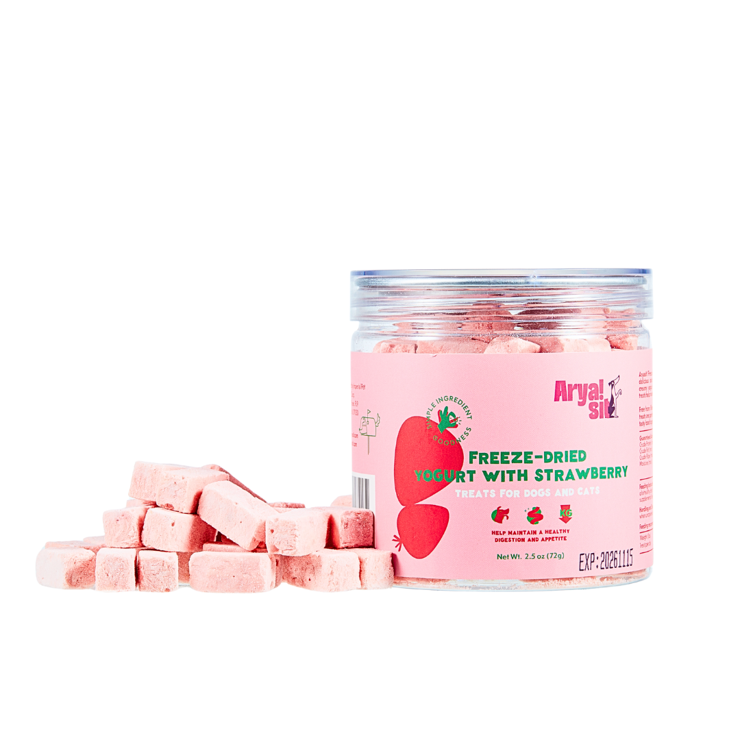 Arya Sit! - Freeze-Dried Strawberry Yogurt