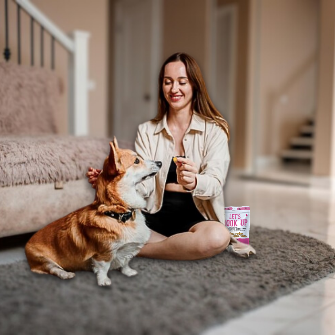 The Granville Island Pet Treatery - Let's Hook Up