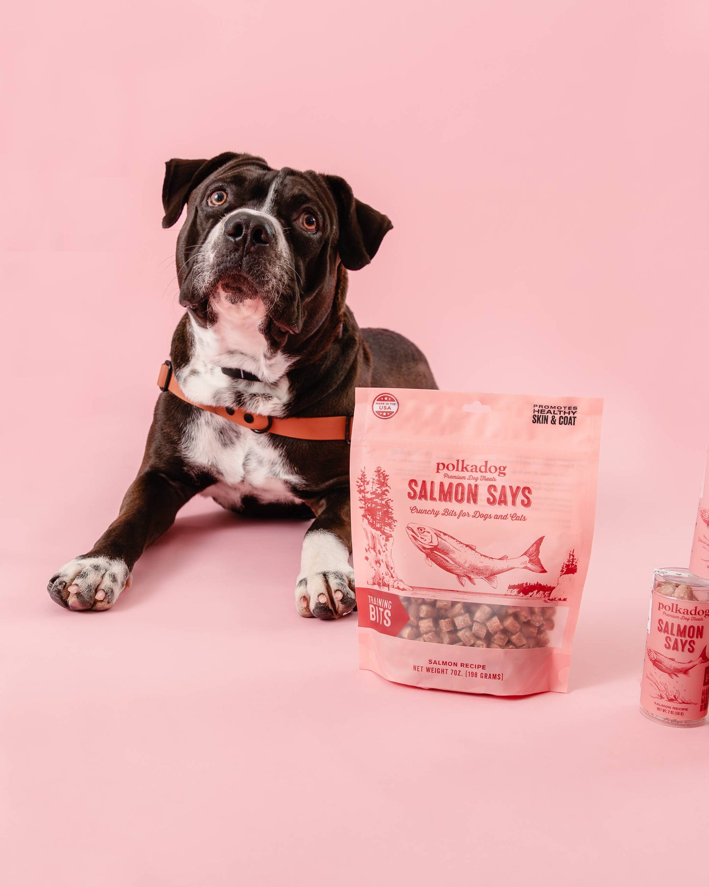 Polkadog - Training Bits - Salmon Says (7oz)