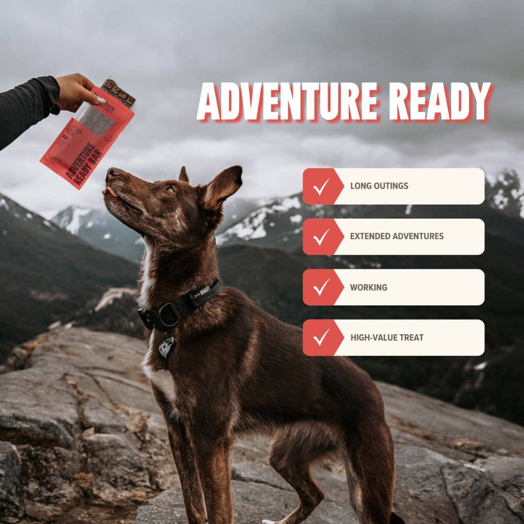 Ryōken Instinct Adventure Ready Bar - Beef
