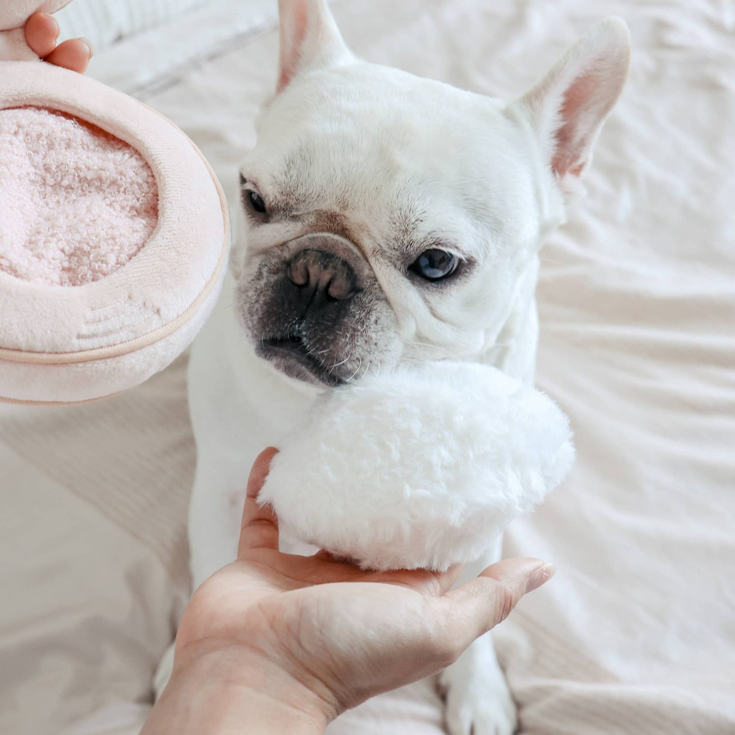 Lambwolf Collective - Blush Enrichment Toy