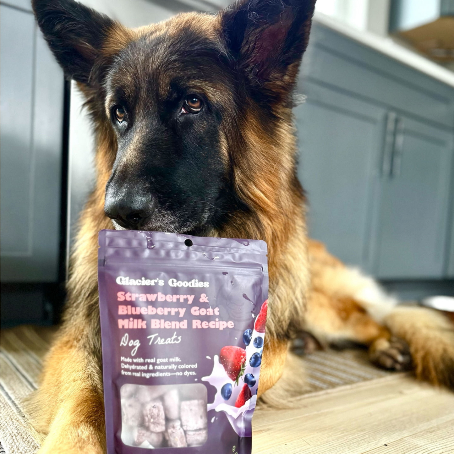 Glacier's Goodies - Goat Milk Dog Treats – Strawberry & Blueberry
