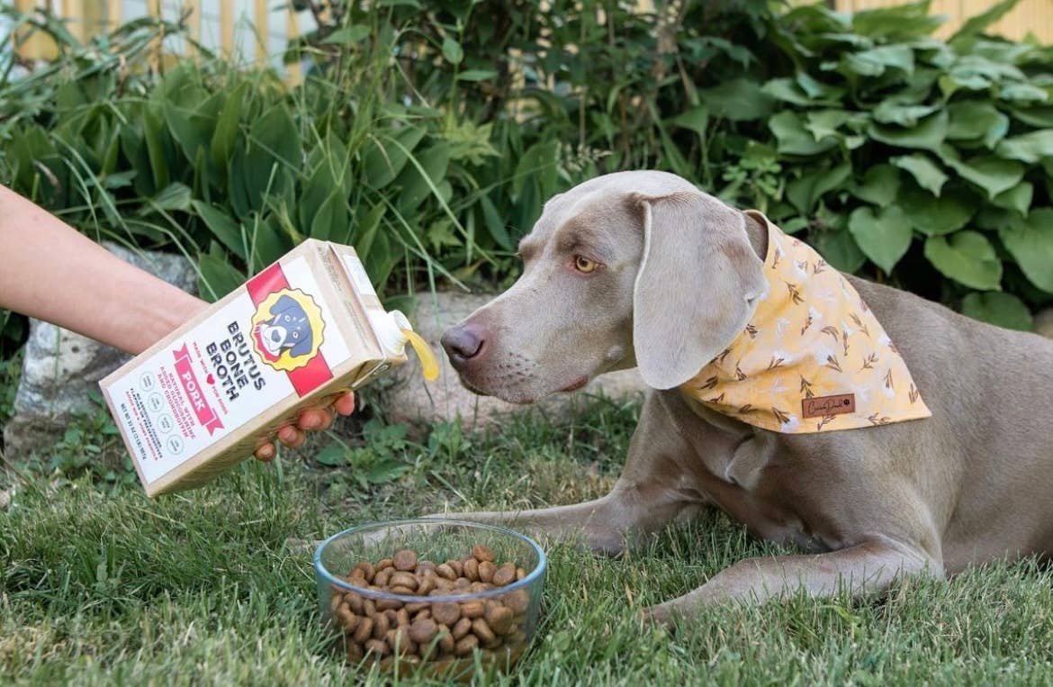 Brutus Bone Broth - Pork