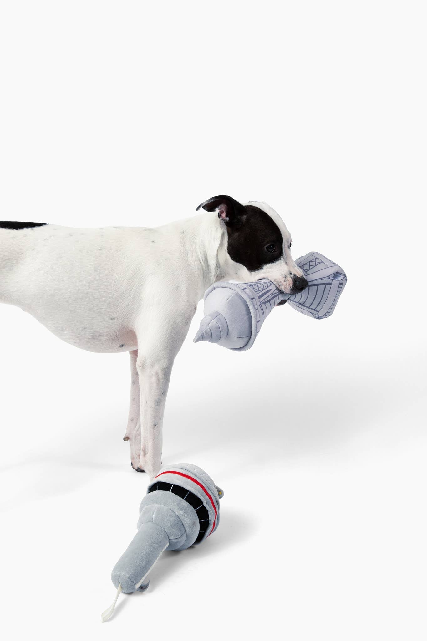 Come Here Buddy - Dog in Seattle | Space Needle Enrichment Toy