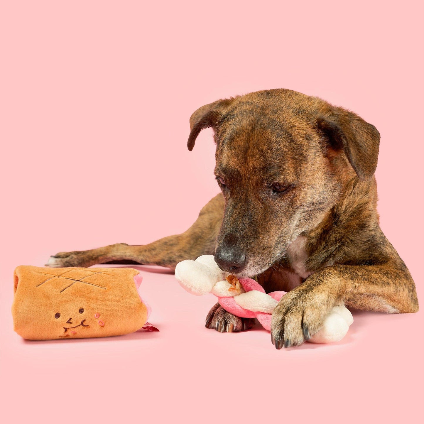 the furryfolks - Bone Appétit Nosework Toy