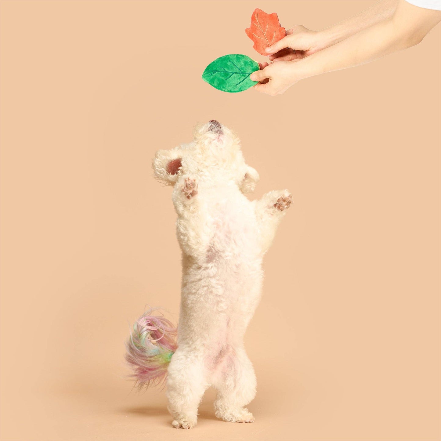 the furryfolks - Branch Manager's Branch Nosework Toy