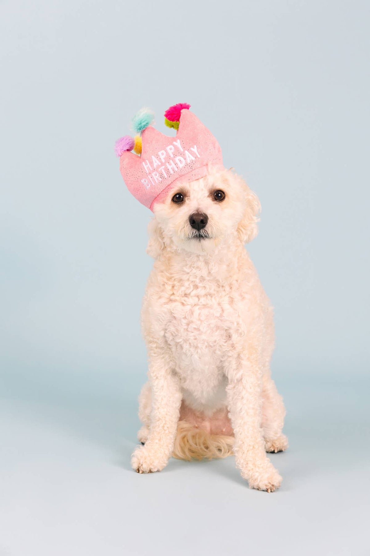Petshop by Fringe Studio - If the Crown Fits