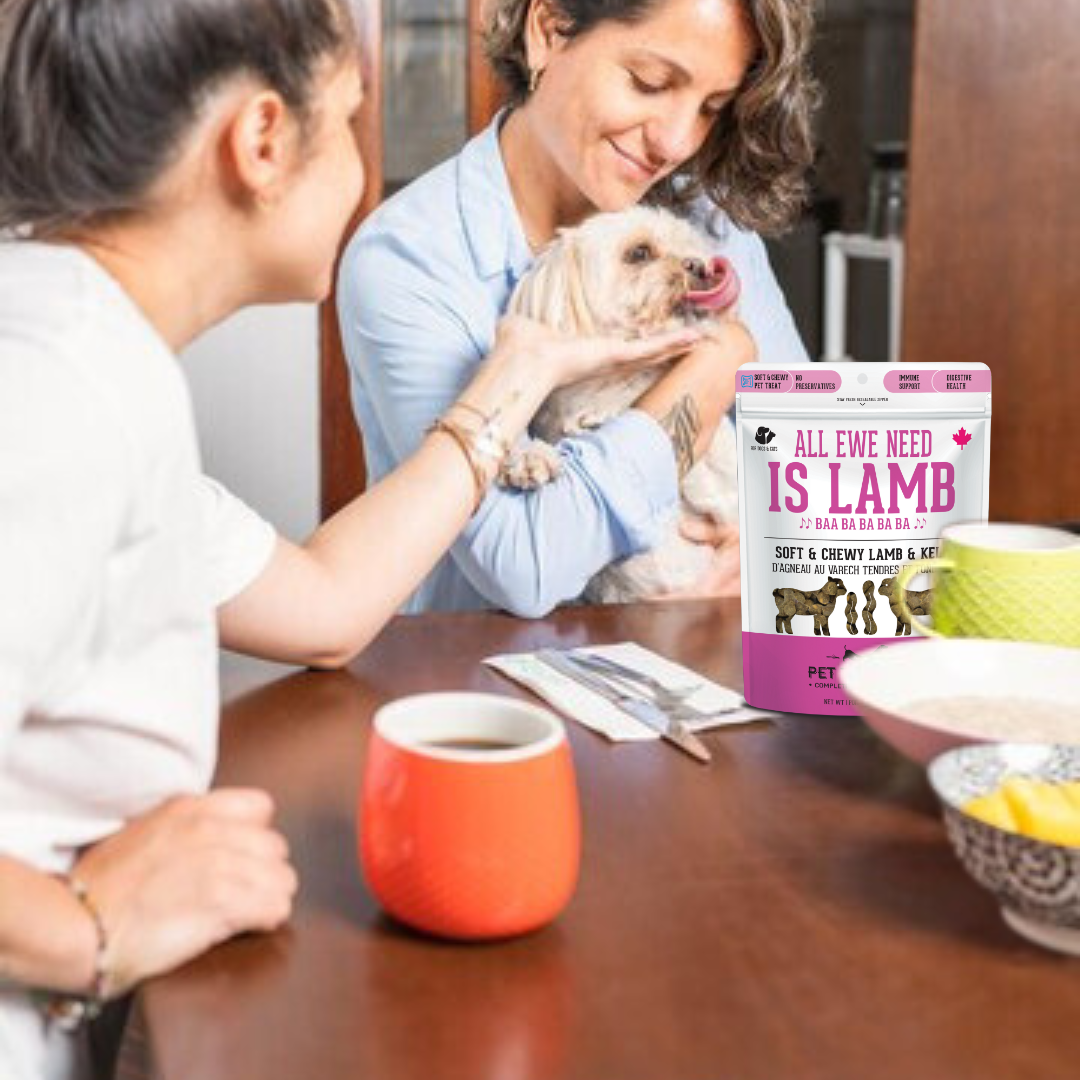 The Granville Island Pet Treatery - All Ewe Need is Lamb