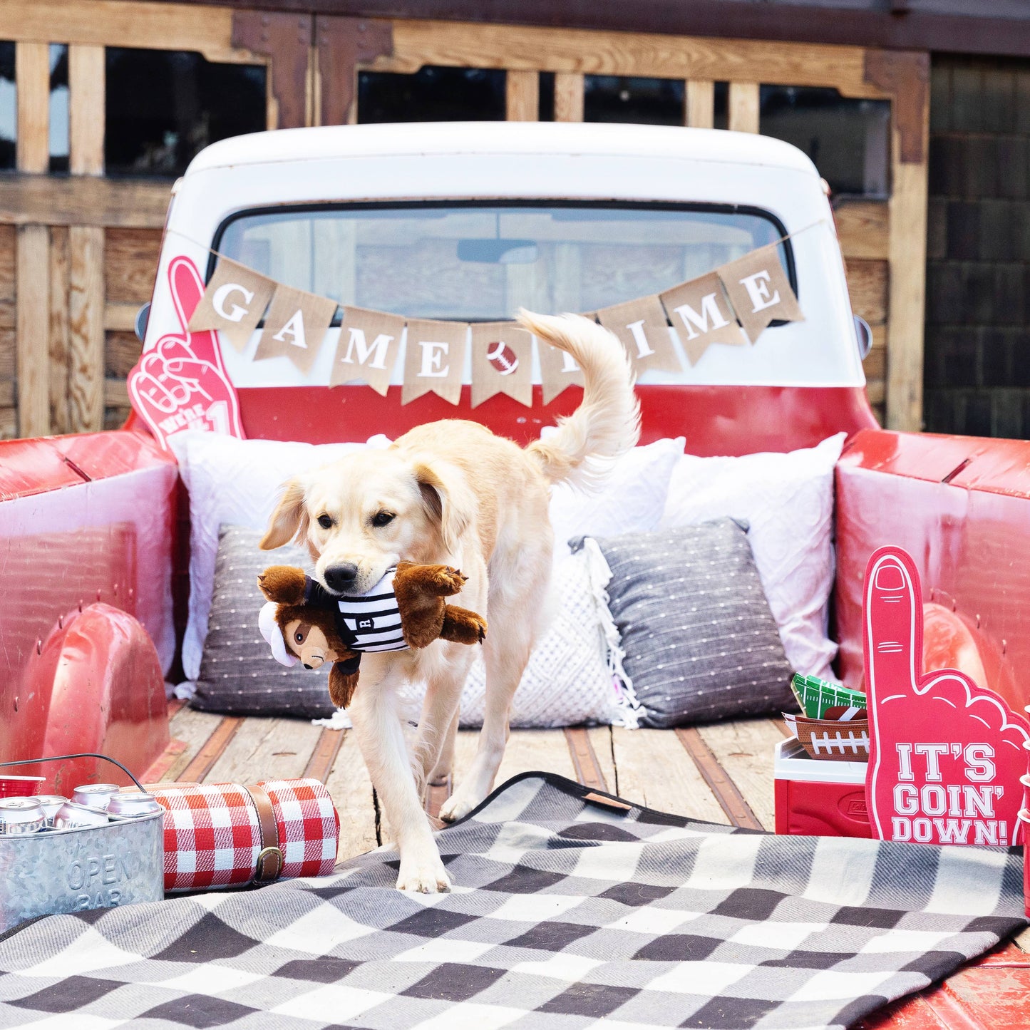 Petshop by Fringe Studio - Rufferee