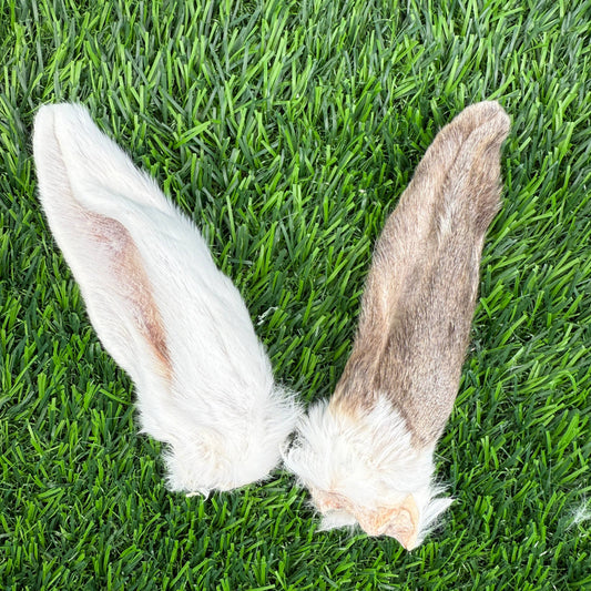 Rabbit Ears