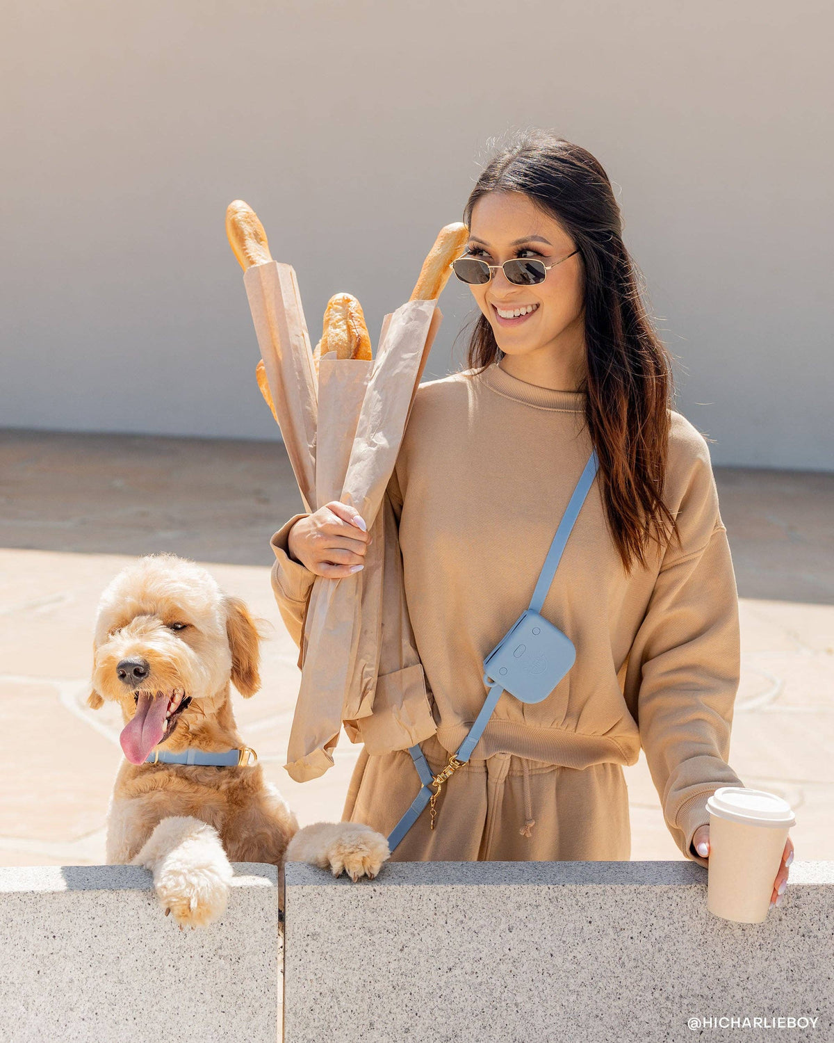 Sunny Tails - Malibu Blue Snap Dog Treat Pouch