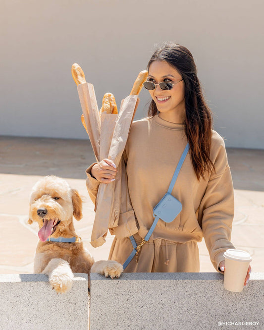 Sunny Tails - Malibu Blue Snap Dog Treat Pouch