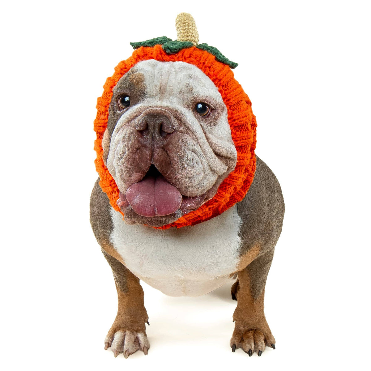 Zoo Snoods - Pumpkin Dog Snood