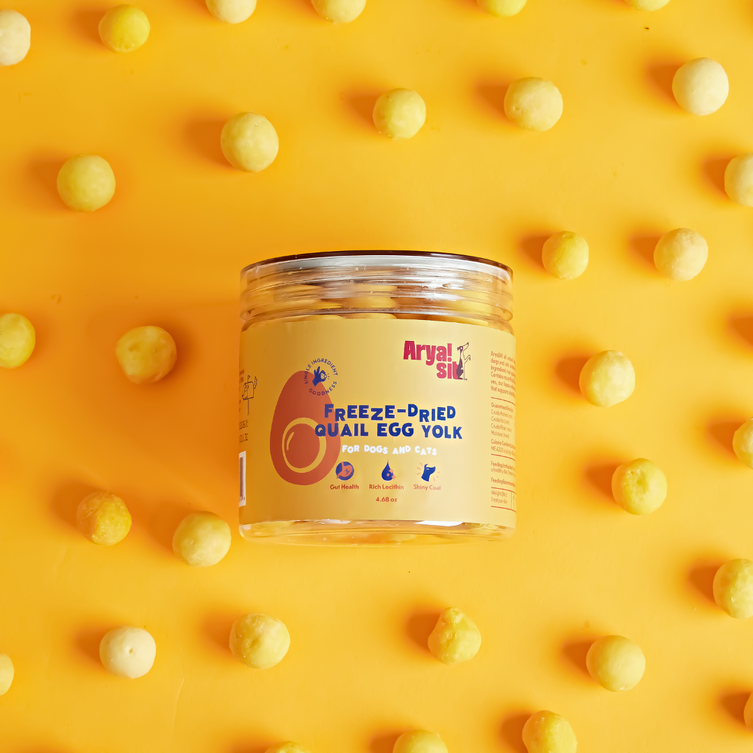 Arya Sit! - Freeze-Dried Egg Yolk
