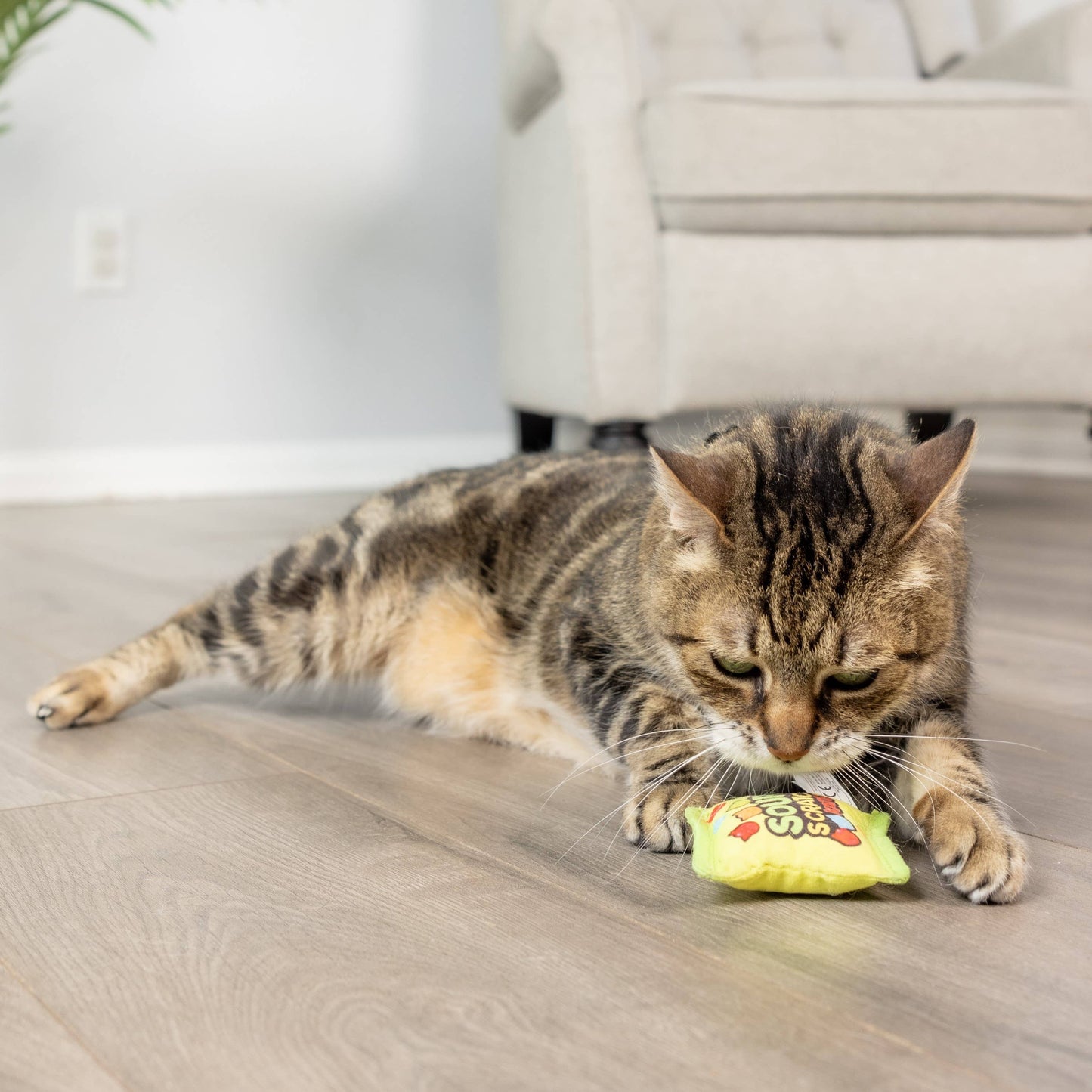 Huxley & Kent - Sour Scratch Kats Cat Toy
