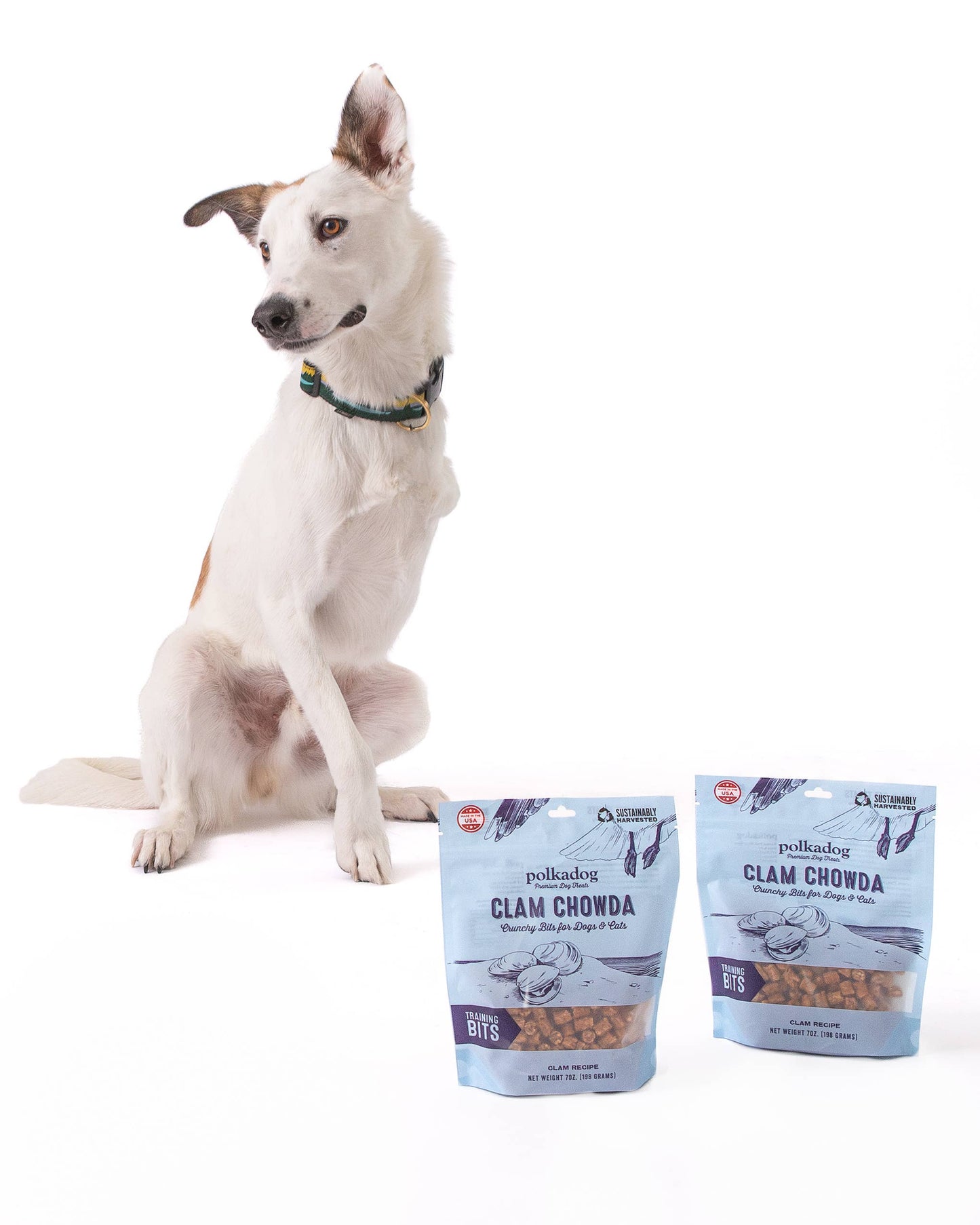 Polkadog - Training Bits - Clam Chowda