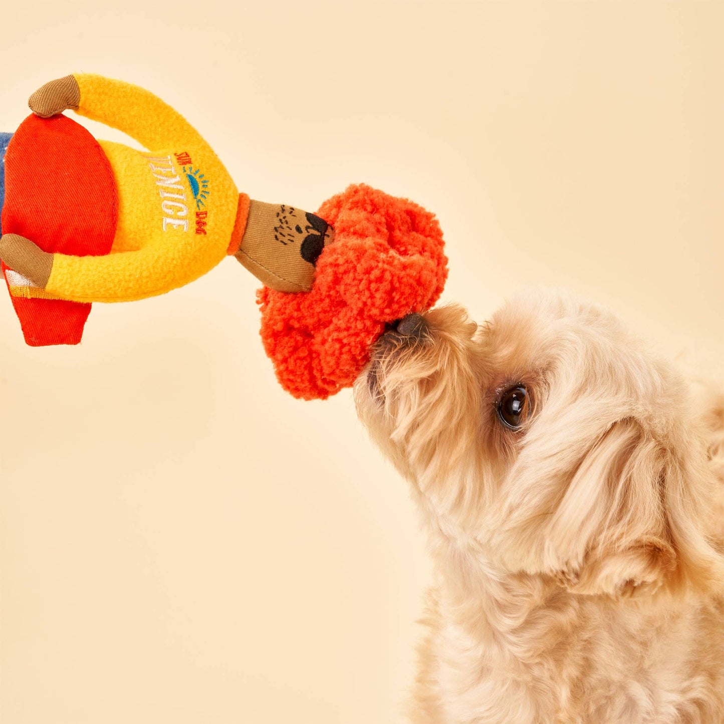 the furryfolks - Surfer Hooman Nosework Toy