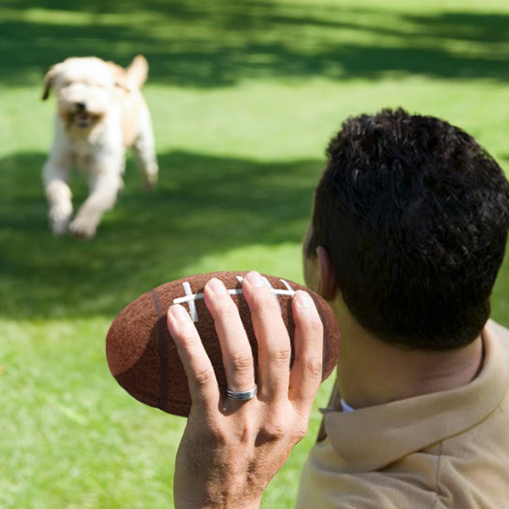 NFL Seattle Seahawks Tough Chewer Ball