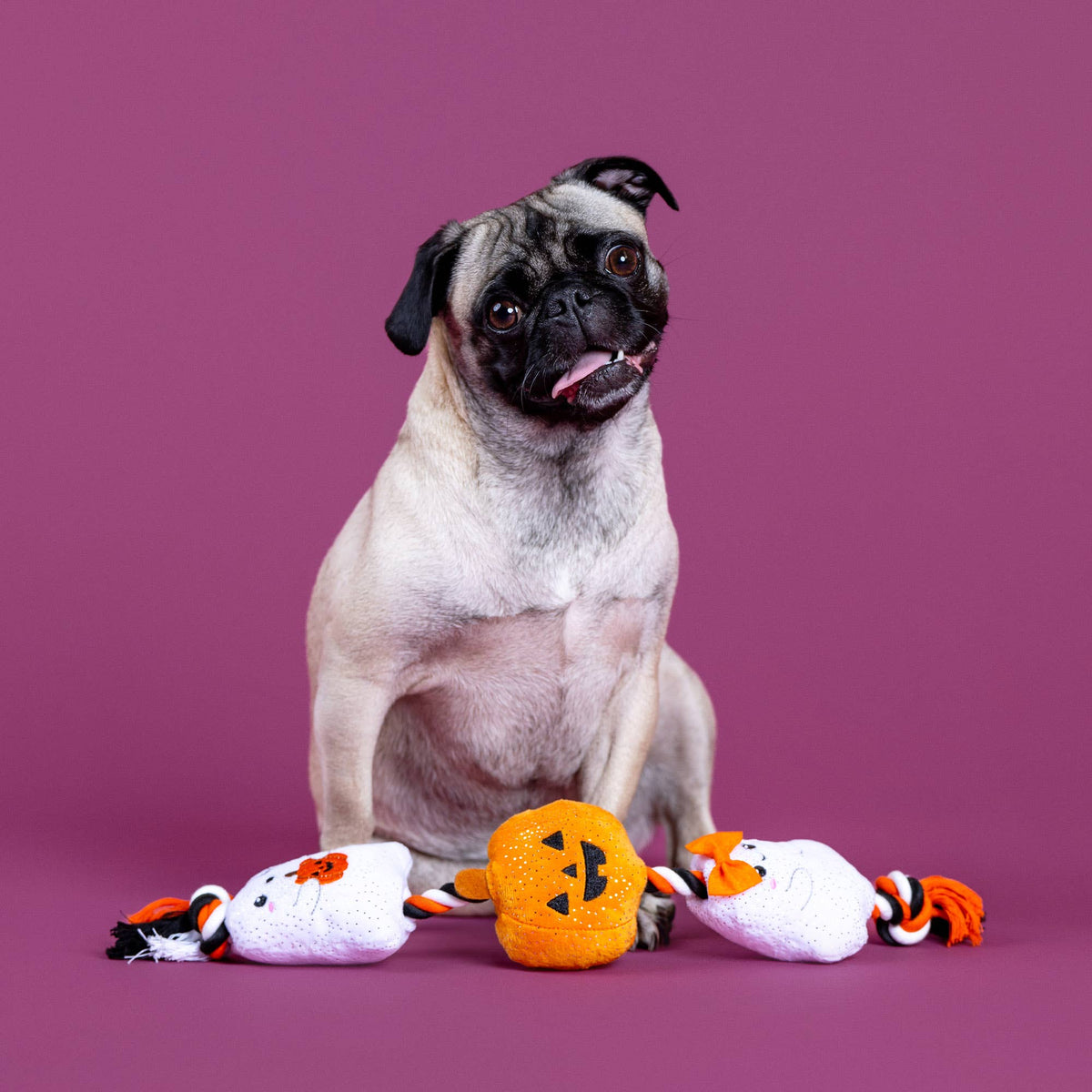 Petshop by Fringe Studio - Ghostly Gang
