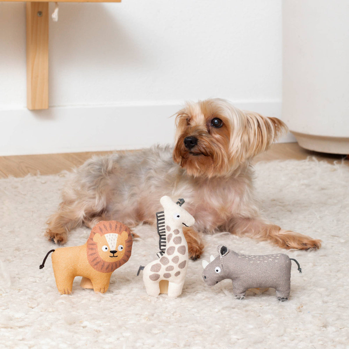 Petshop by Fringe Studio - Feeling Wild Set