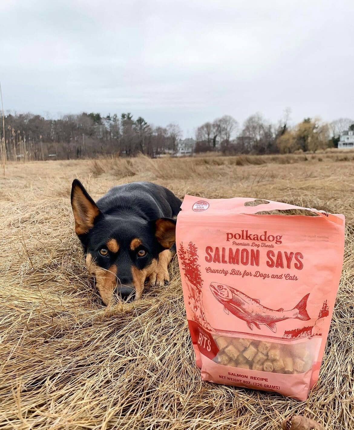 Polkadog - Training Bits - Salmon Says (7oz)