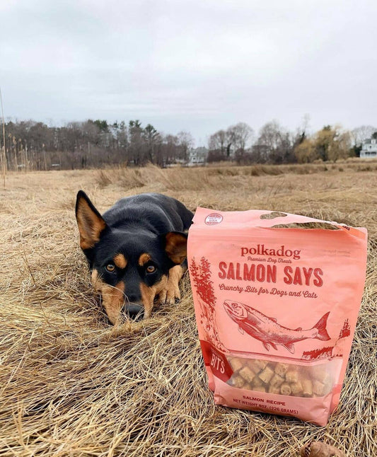 Polkadog - Training Bits - Salmon Says (7oz)