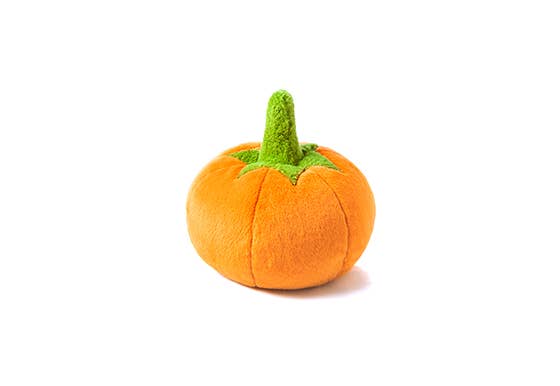 Play Pet Brands - Garden Fresh - Pumpkin - Mini