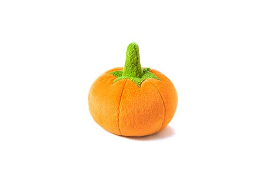 Play Pet Brands - Garden Fresh - Pumpkin - Mini
