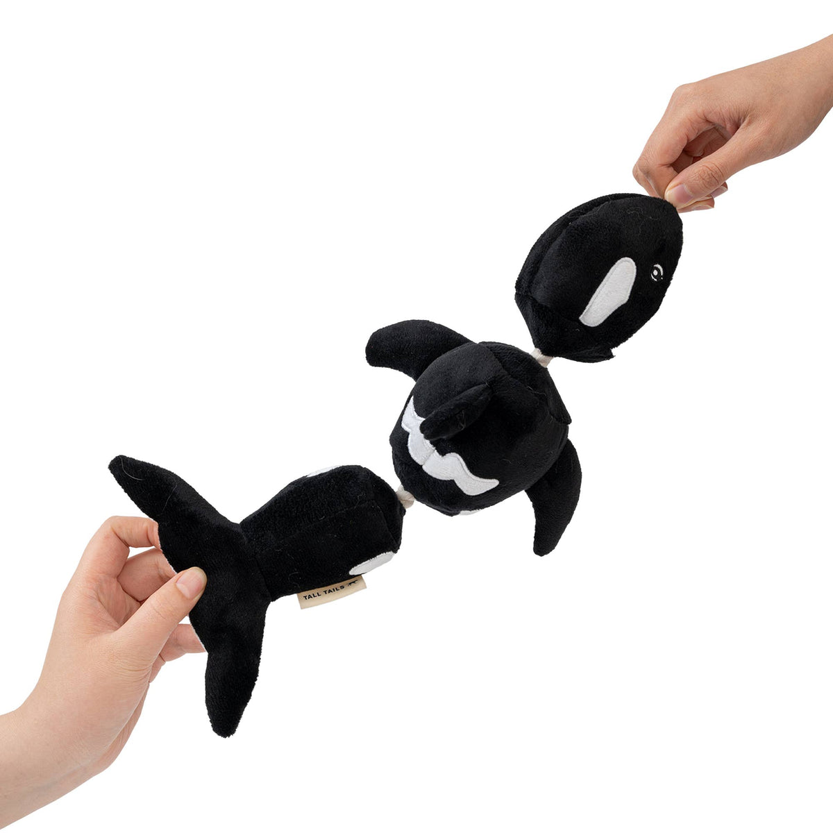 Tall Tails - Orca