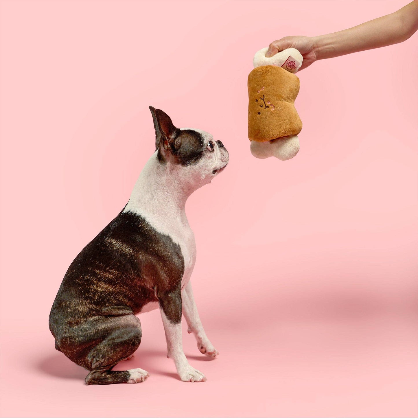 the furryfolks - Bone Appétit Nosework Toy