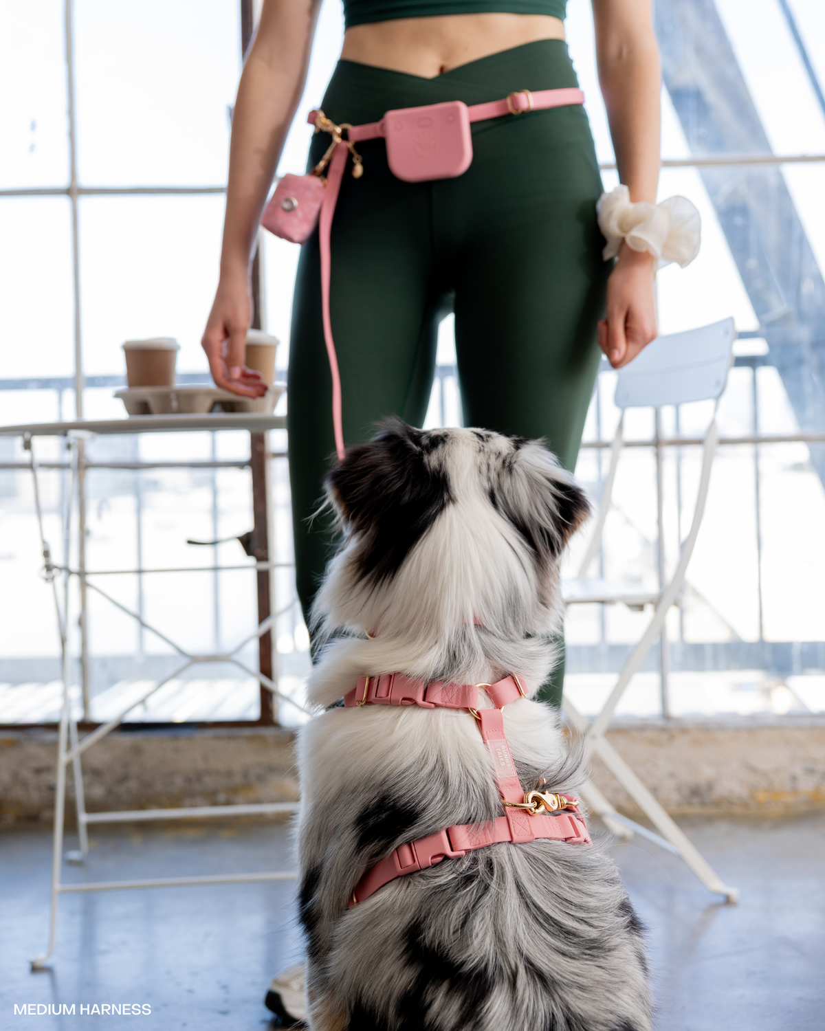 Sunny Tails - Perfect Pink Snap Dog Treat Pouch