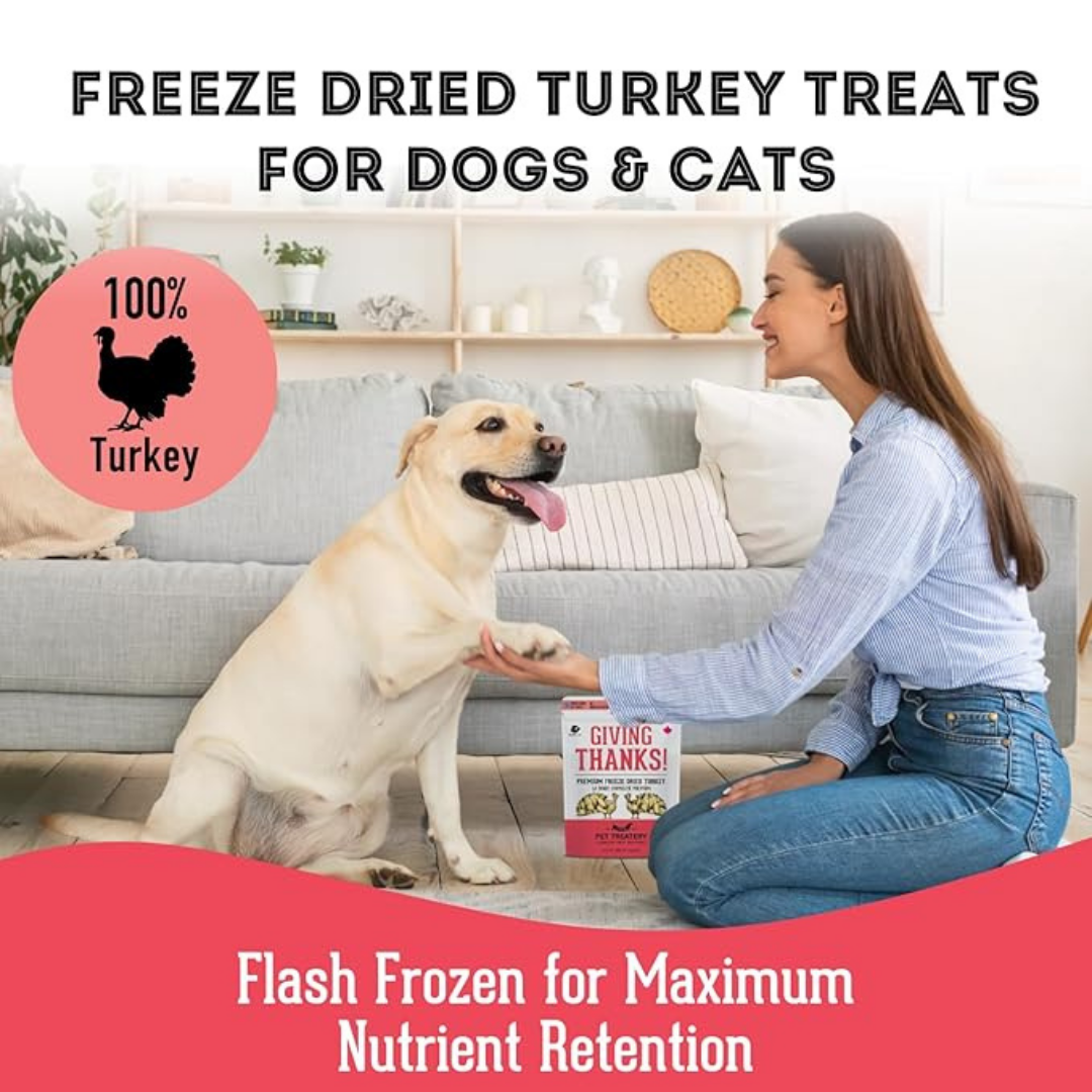 The Granville Island Pet Treatery - Giving Thanks